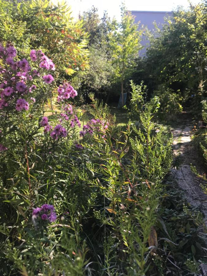 לינה וארוחת בוקר Châlons-en-Champagne Un Jardin Dans La Ville מראה חיצוני תמונה